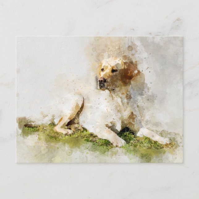 Labrador Retriever Dog Watercolor Portrait 03 Postcard (Front)