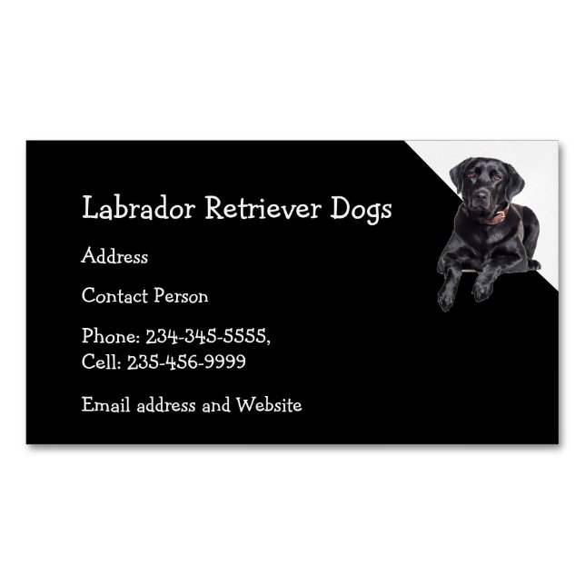 Labrador Retriever Dogs Breeder Pet Sitter  Magnetic Business Card (Front)