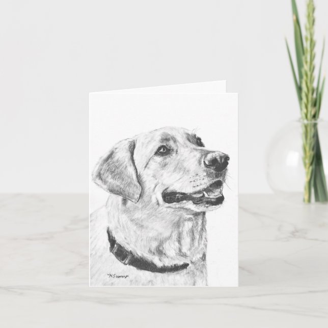Labrador Retriever Drawing Card (Front)