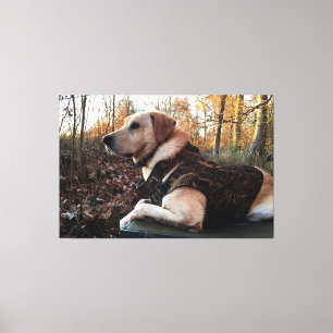 Labrador Retriever Duck Hunter's Ultimate Weapon Canvas Print