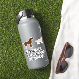 Labrador Retriever Fancier