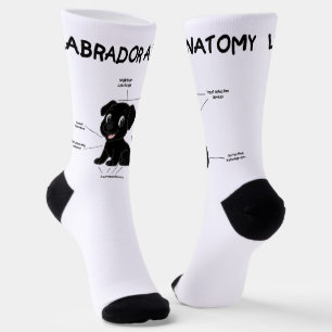 Labrador Retriever Funny Anatomy Cartoon Socks
