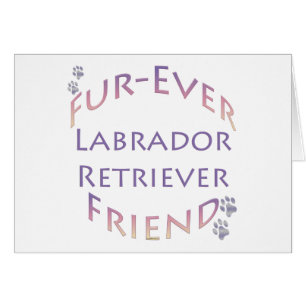 Labrador Retriever Furever