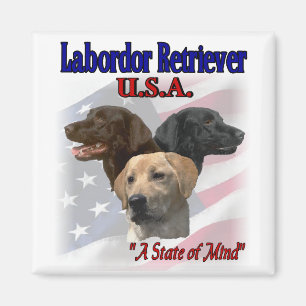 Labrador Retriever Gifts Magnet