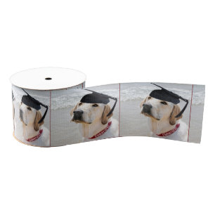 Labrador Retriever Graduate With Cap Grosgrain Ribbon