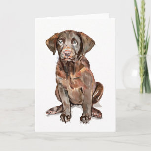Labrador Retriever Greeting Card