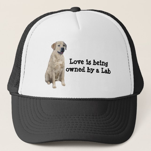 Labrador Retriever Hat (Front)