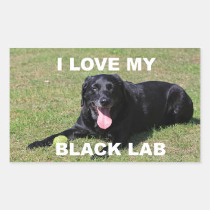 Labrador Retriever I Love My Black Lab Rectangular Sticker