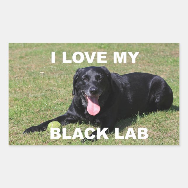 Labrador Retriever I Love My Black Lab Rectangular Sticker (Front)