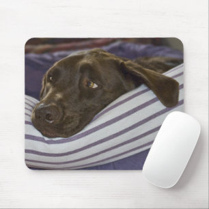 Labrador Retriever In Bed Mouse Pad