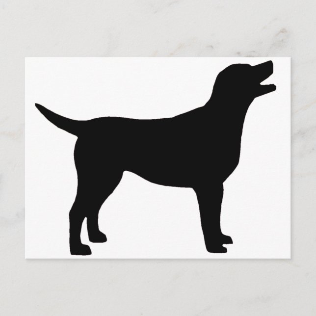 Labrador Retriever (in black) Postcard (Front)