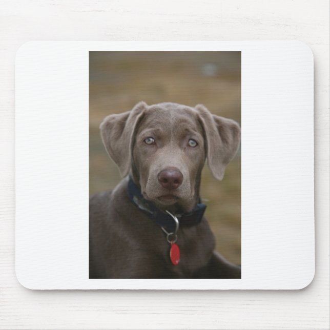 Labrador Retriever In Rare Light Silver Mouse Pad (Front)