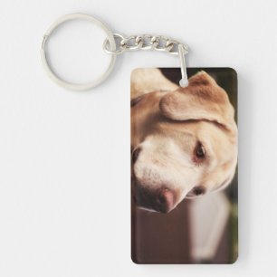 Labrador Retriever Key Ring