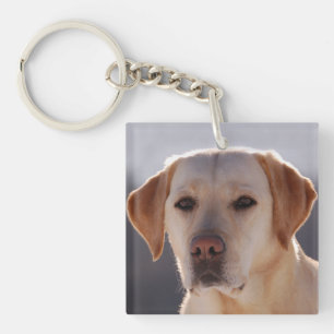 Labrador Retriever Key Ring