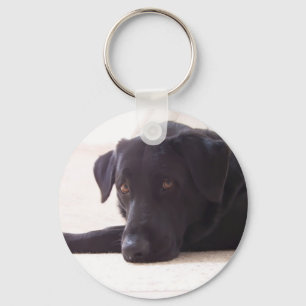 labrador retriever key ring