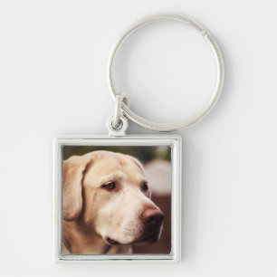 Labrador Retriever Key Ring