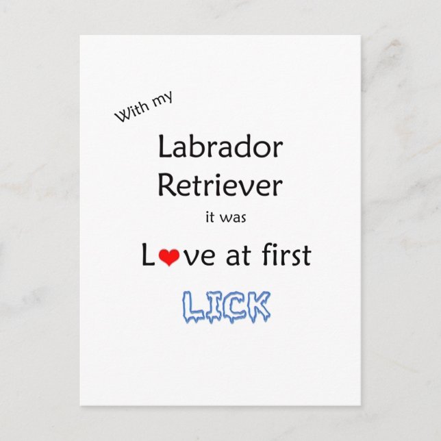 Labrador Retriever Love at First Lick Postcard (Front)