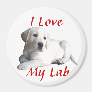 Labrador Retriever Love Magnet