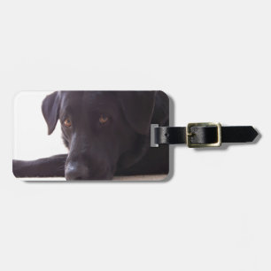 labrador retriever luggage tag