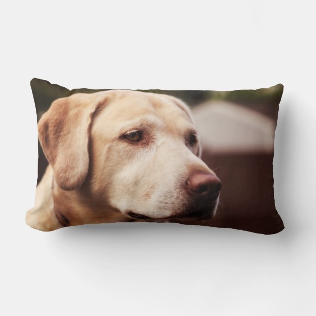Labrador Retriever Lumbar Cushion (Front)