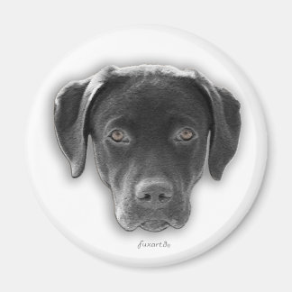 Labrador Retriever Magnet
