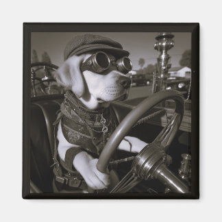 Labrador Retriever magnet