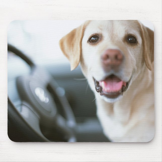 Labrador Retriever Mouse Pad (Front)