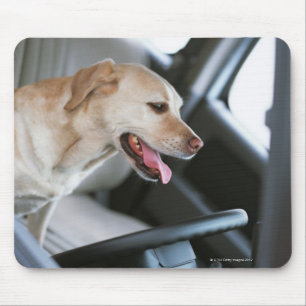 Labrador retriever mouse pad
