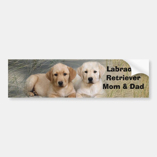 Labrador Retriever Mum & Dad Bumper Sticker (Front)
