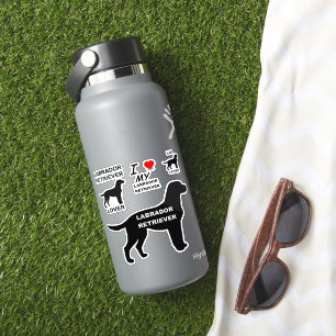 Labrador Retriever Name Silhouette