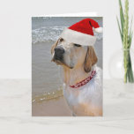 Labrador Retriever on beach Christmas Holiday Card<br><div class="desc">Labrador retriever wearing a Santa hat on the beach.
Merry Christmas greeting in red collar.</div>