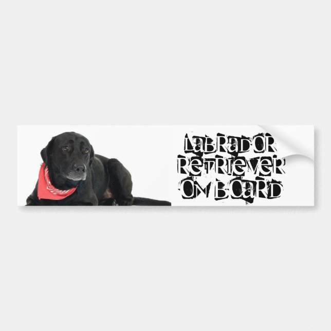 Labrador Retriever on Board Bumper Sticker (Front)
