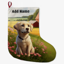 Labrador Retriever on Farm
