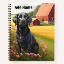Labrador Retriever on Farm