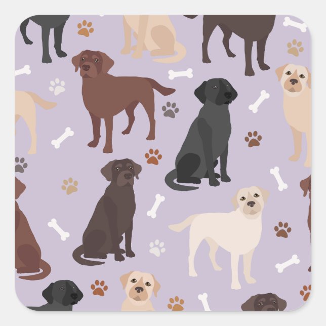 Labrador Retriever Paws and Bones Square Sticker (Front)
