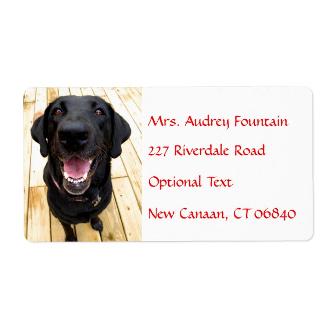Labrador Retriever Personalised Name Address Label (Front)