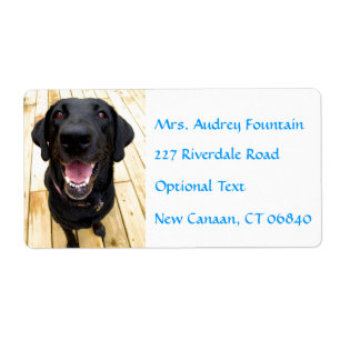 Labrador Retriever Personalised Name Address Label