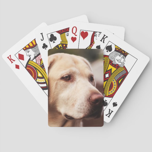 Labrador Retriever Playing Cards (Back)