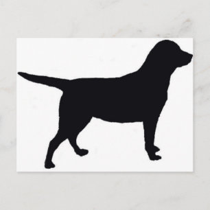 Labrador Retriever Postcard