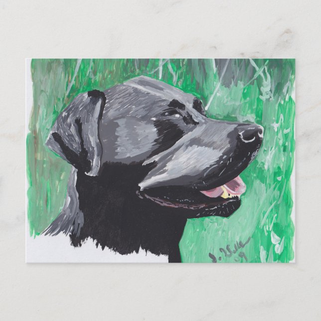 Labrador Retriever Postcard (Front)