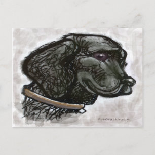 Labrador Retriever Postcard