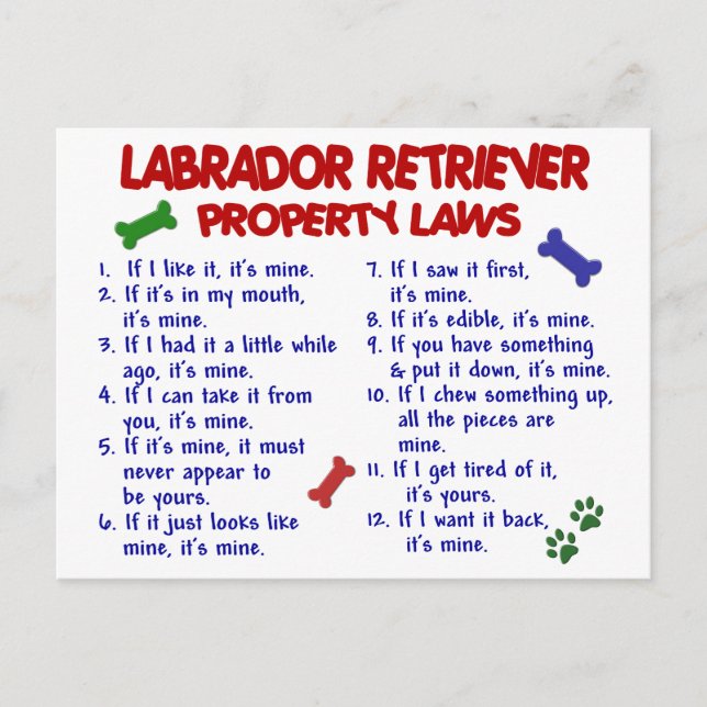 LABRADOR RETRIEVER Property Laws Postcard (Front)