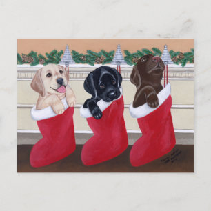 Labrador Retriever Puppies Christmas Post Cards