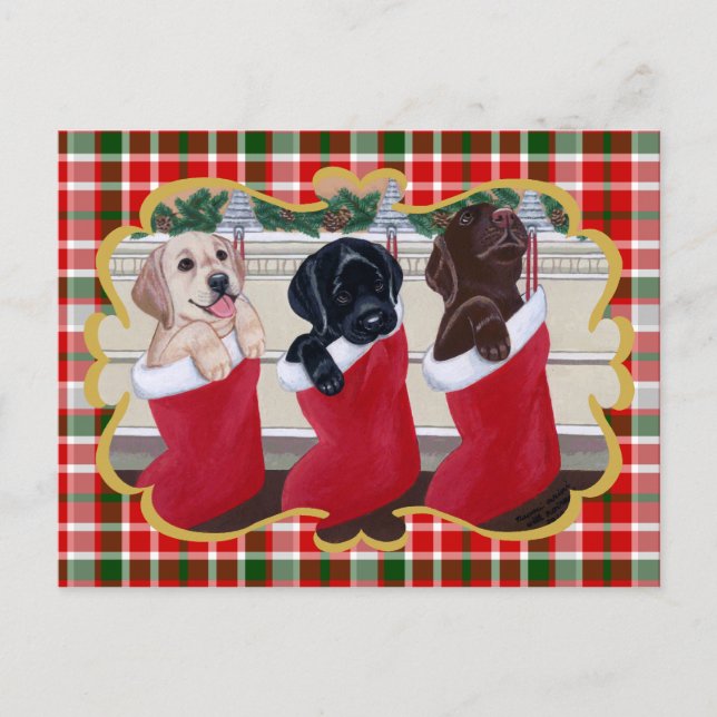 Labrador Retriever Puppies Christmas Tartan Holiday Postcard (Front)