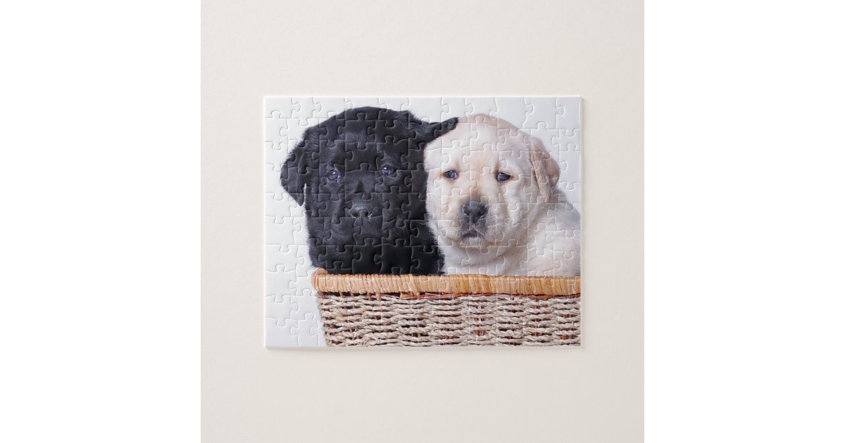 Labrador retriever puppies jigsaw puzzle