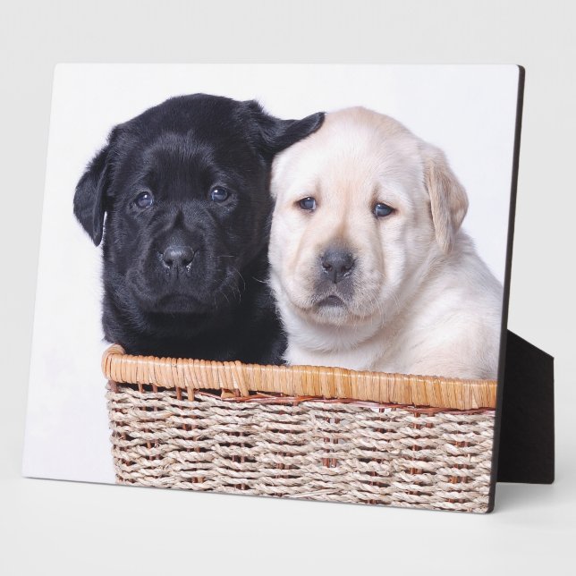 Labrador retriever puppies plaque (Side)