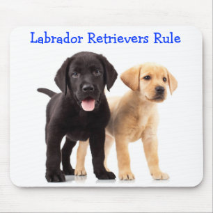 Labrador Retriever Puppies Rule Mousepad
