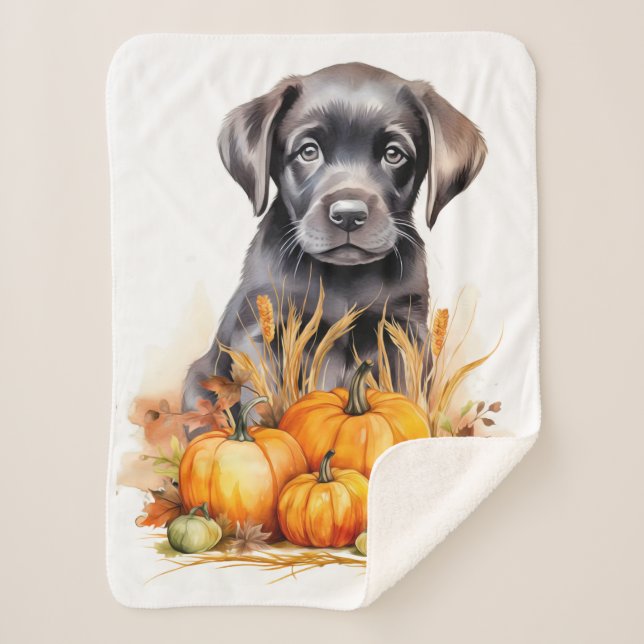 Labrador Retriever Puppy Autumn Pumpkins Dog Lover Sherpa Blanket (Front)