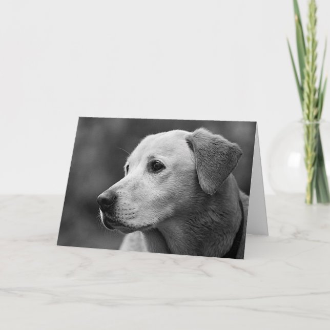 Labrador Retriever Puppy Blank Note Card (Front)