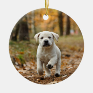 Labrador retriever puppy ceramic ornament